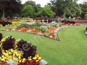 Flower_garden,_Botanic_Gardens,_Churchtown_2