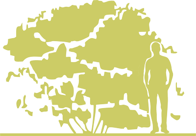 6-skumpiya-kozhevennaya-cotinus-coggygria-young-lady-siluet.png