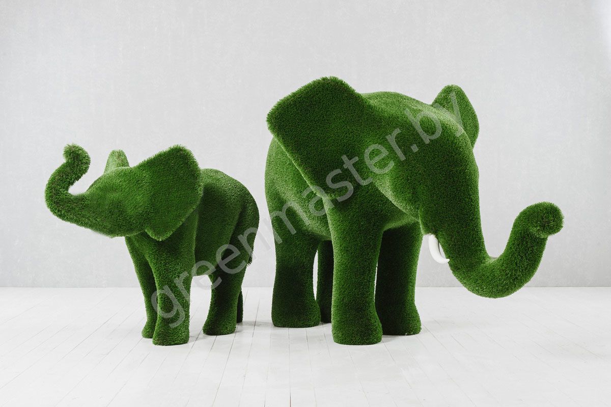 7-слоны