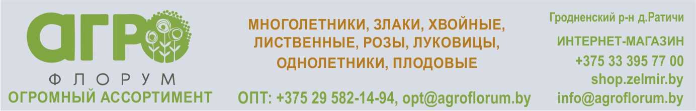Агрофлорум