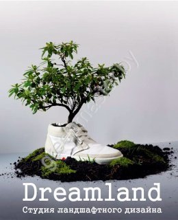 Студия-ландшафтного-дизайна-Dreamland