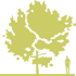 8-klen-lozhnoplatanovyy-acer-pseudoplatanus-worley.png