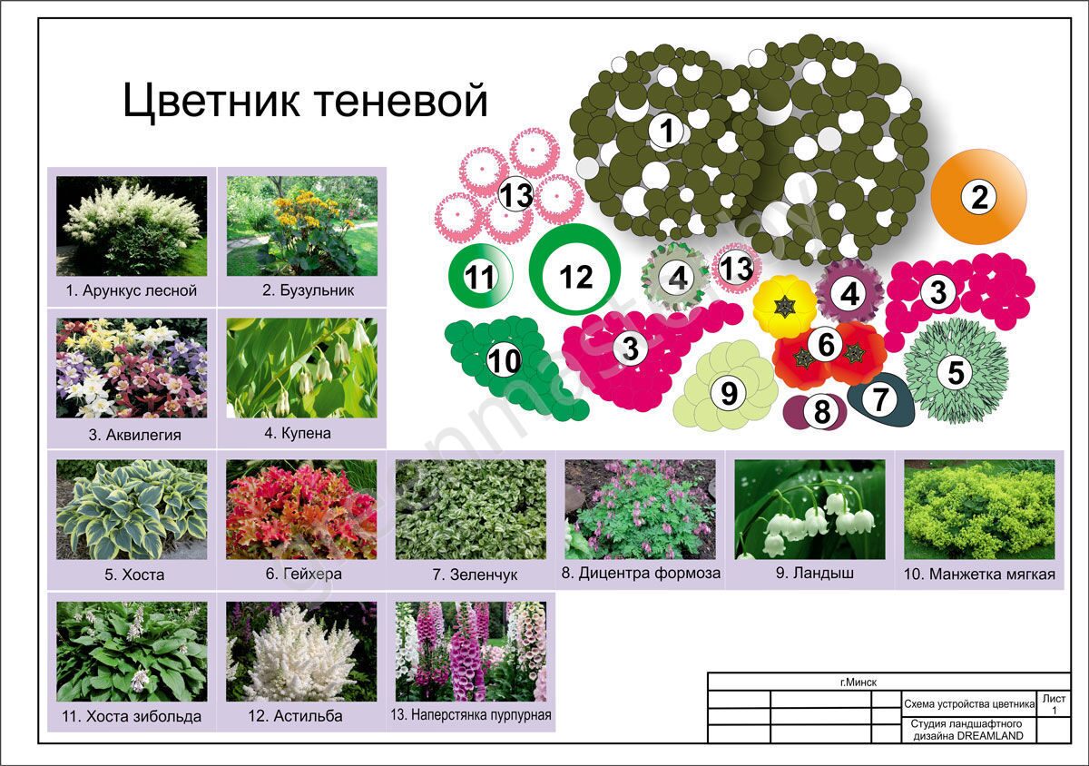 Миксбордеры: 71 фото схем цветников, советы по подбору растений | webmaster-korolev.ru